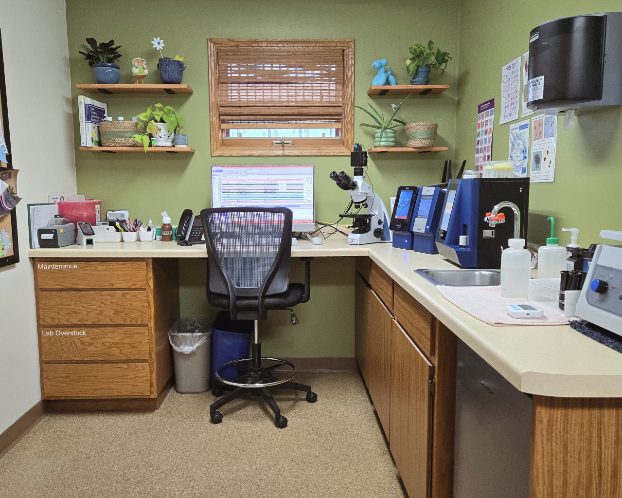Lab